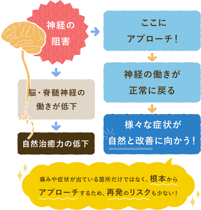 神経の阻害　ここにアプローチ！　神経の働きが正常に戻る　様々な症状が自然と改善に向かう！　脳・脊髄神経の働きが低下　自然治癒力の低下　痛みや症状が出ている箇所だけではなく、根本からアプローチするため、再発のリスクも少ない！