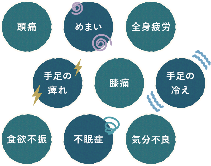 頭痛　めまい　全身疲労　手足の痺れ　膝痛　手足の冷え　食欲不振　不眠症　気分不良